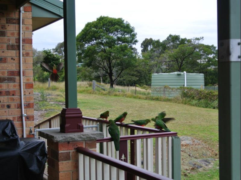 Bryn Glas Farm Stay Moruya Exterior photo
